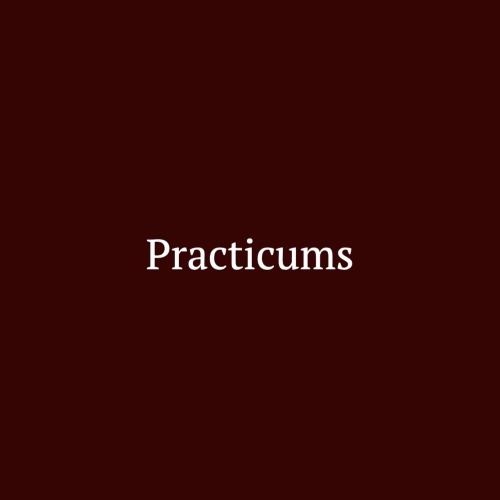 Practicums – Reflective Meditation for Teachers